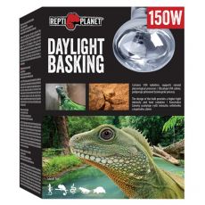 Žárovka REPTI PLANET Daylight Basking Spot 150 W
