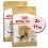 ROYAL CANIN German Shepherd Adult granule pro dospěl&eacute; německ&eacute; ovč&aacute;ky star&scaron;&iacute; 15 měs&iacute;ců 2 x 11 kg