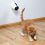 Hračka pro kočku – laserové světélko, 11 cm