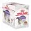 Royal Canin STERILISED in Jelly žel&eacute; v kapsičce 12 x 85 g