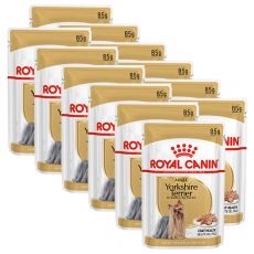 ROYAL CANIN ADULT YORKSHIRE 12 x 85 g - kapsička