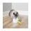 PetSafe FroliCat Peek-a-Bird &ndash; hračka pro kočky