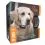 Obojek proti &scaron;těk&aacute;n&iacute; SportDog NoBark SBC-8-E