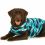 Pooperační oblečení pro psa XS kamufláž modrá