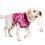 Pooperační oblečení pro psa S kamufláž růžová