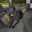 Ochranný potah na zadní sedadla Kurgo Wander Hammock – typ hamaka šedý
