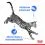Royal Canin Indoor Sterilised In Gravy Pouch 12 x 85 g