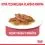 Royal Canin Indoor Sterilised In Gravy Pouch 12 x 85 g