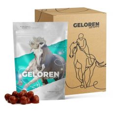 Geloren HA kloubní výživa pro koně višeň 1350 g (3 x 450 g)