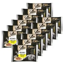 Sheba Delicacy Drůbež&iacute; v&yacute;běr kapsiček 12 x (4 x 85 g)