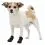 Trixie Walker Active boty pro psy XS