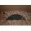 Delphin C3 LUX ClimaControl Carpath