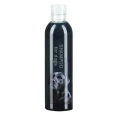 &Scaron;ampony pro kočky