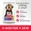 Hill's Science Plan Sensitive Stomach & Skin pro mal&eacute; dospěl&eacute; psy 6 kg