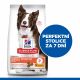 Hill's Science Plan Canine Perfect Digestion Medium 2,5kg