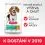 Hill's Science Plan Perfect Weight pro středn&iacute; dospěl&eacute; psy s kuřec&iacute;m 2 x 12 kg