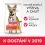 Hill's Science Plan Perfect Weight granule pro dospěl&eacute; psy s kuřec&iacute;m 2 x 14 kg