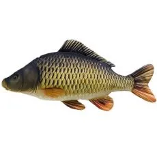 Doplňky