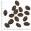 WOLFSBLUT Wild Pacific 12,5 kg