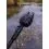 Fox Vidlička Black Label QR Banksticks 45cm