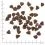 WOLFSBLUT Wide Plain Puppy 2 x 12,5 kg