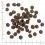 WOLFSBLUT Range Lamb Puppy 12,5 kg