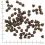 WOLFSBLUT Cold River Puppy 2 x 12,5 kg