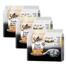 Sheba Fresh & Fine kapsičky pro kočky, drůbež&iacute; v&yacute;běr 3 x (15 x 50 g)