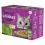 Whiskas Kapsička Sm&iacute;&scaron;en&yacute; v&yacute;běr v žel&eacute; 12 x 85 g