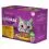 Whiskas Drůbež&iacute; v&yacute;běr ve &scaron;ť&aacute;vě 12 x 85 g