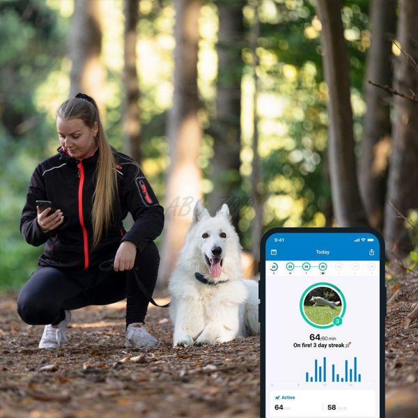 Tractive GPS DOG XL - sleduje polohu a aktivitu vašeho psa