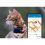 Tractive GPS CAT Mini + obojek - sledov&aacute;n&iacute; polohy a aktivity va&scaron;&iacute; kočky - tmavě modr&yacute;