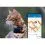 Tractive GPS CAT Mini + obojek - sledov&aacute;n&iacute; polohy a aktivity va&scaron;&iacute; kočky - tmavě modr&yacute;