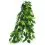 Ficus silk medium - rostlina do ter&aacute;ria, 55 cm