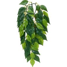 Ficus silk small - rostlina do terária, 45 cm