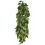 Ficus silk large - rostlina do ter&aacute;ria, 70 cm