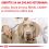 Royal Canin VHN Neutered Adult Large 12 kg