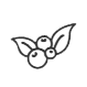 4.png