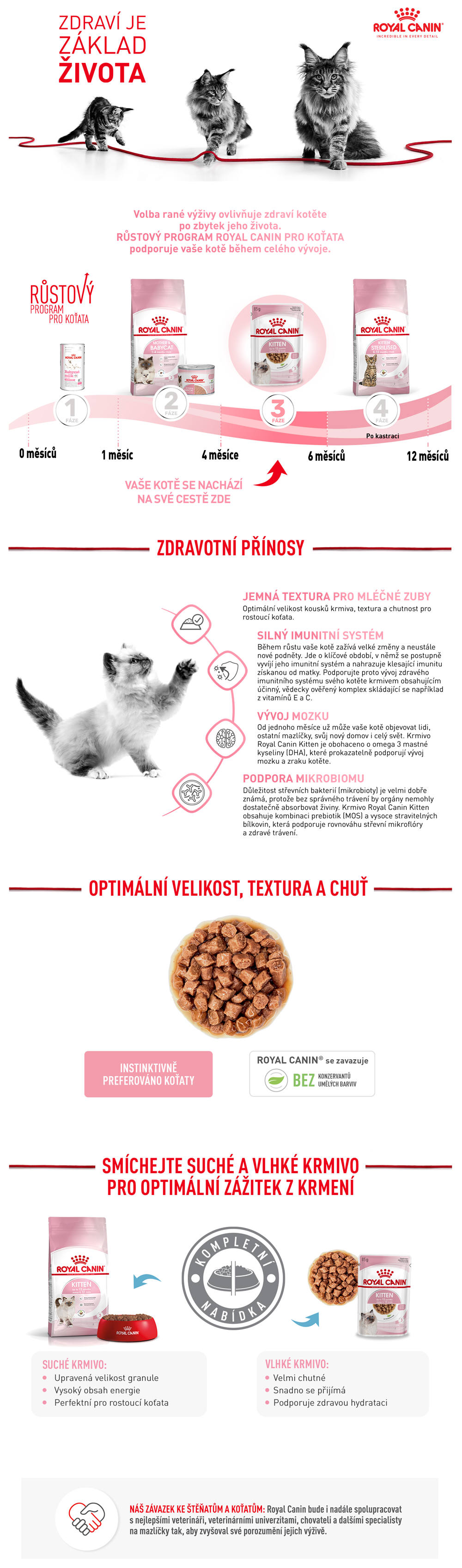 FHN_POUCH_KITTEN_CIG_CZ.png