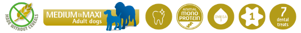 image_125.png