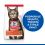 Hill's Science Plan Feline Adult Lamb & Rice 10 kg + kočkolit ZDARMA
