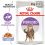 Royal Canin STERILISED in Jelly žel&eacute; v kapsičce 24 x 85 g