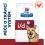 Hill's Prescription Diet i/d P&eacute;če o zaž&iacute;v&aacute;n&iacute; granule pro psy 4 kg + pamlsky ZDARMA