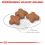 ROYAL CANIN MINI ADULT +8, 8 kg + 12 kapsiček ZDARMA
