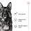 ROYAL CANIN Maxi Adult granule pro dospěl&eacute; psy velk&yacute;ch plemen 15 kg + 2 konzervy ZDARMA