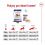 ROYAL CANIN Maxi Adult granule pro dospěl&eacute; psy velk&yacute;ch plemen 15 kg + 2 konzervy ZDARMA