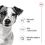ROYAL CANIN Mini Adult granule pro dospěl&eacute; psy mal&yacute;ch plemen 8 kg + 12 kapsiček ZDARMA