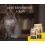 JOSERA Catelux 2 kg + Lick mat ZDARMA