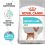 Royal Canin Mini Urinary Care pro psy náchylné k citlivosti močového traktu 3 kg