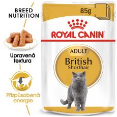 Royal Canin British Shorthair - kapsička, 12 x 85 g
